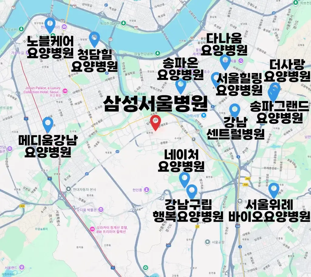 삼성서울병원 근처 요양병원 지도